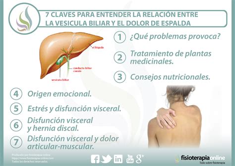 sintomas de la vesícula